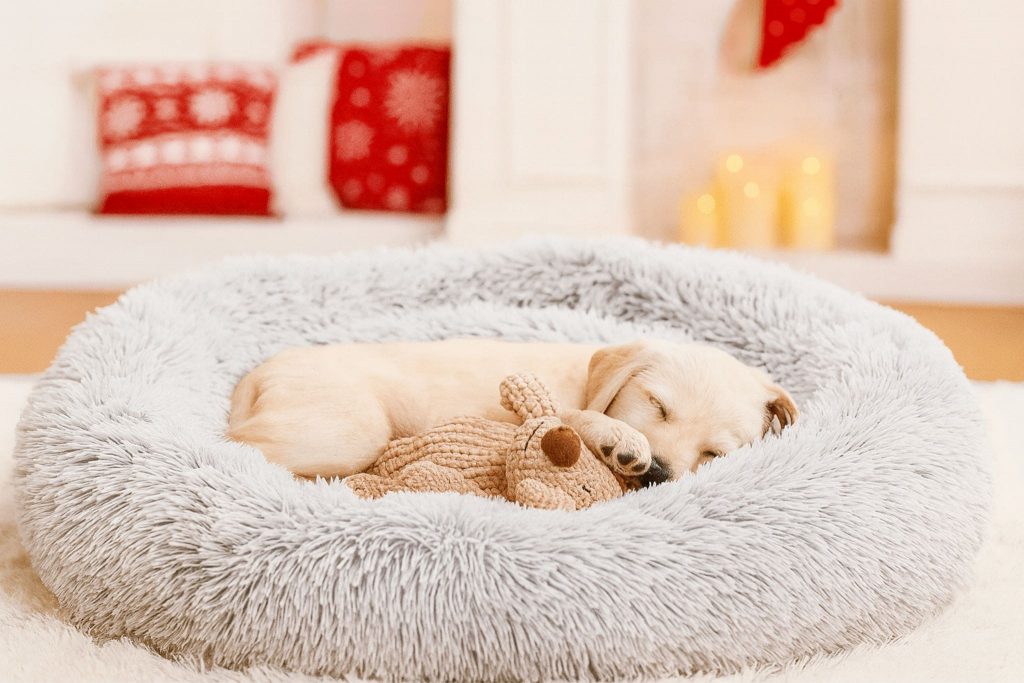 Hundebett Plüsch